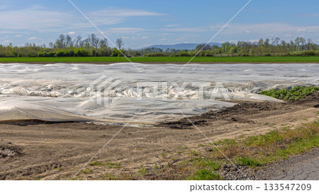 Geotextile Fabric Agriculture Field 133547209