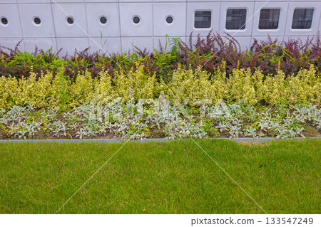 Cultivated Garden Modern Building 133547249