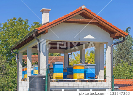 Beehives in House 133547263