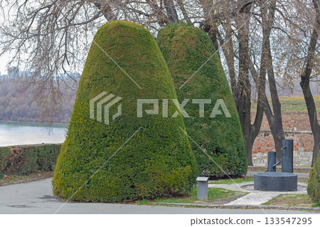 Japanese Water Fountain Topiary Japanese Water Fountain Topiary 133547295