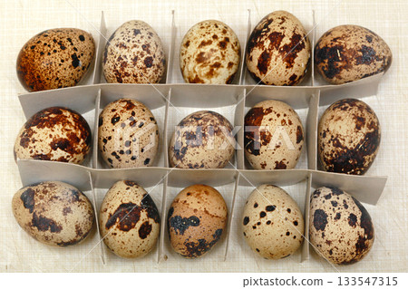 Japanese Quail Eggs Japanese Quail Eggs 133547315