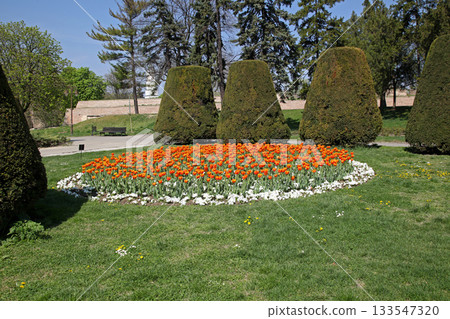 Topiary Park Garden Spring Topiary Park Garden Spring 133547320