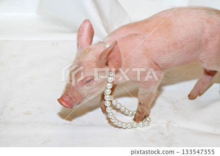 Pearls Necklace Piglet Pearls Necklace Piglet 133547355