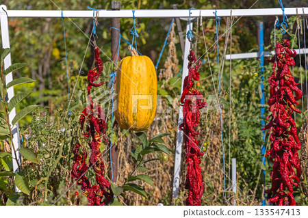 Ristras Red Chili Pepper Ristras Red Chili Pepper 133547413