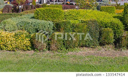 Topiary Town Park Ohrid 133547414