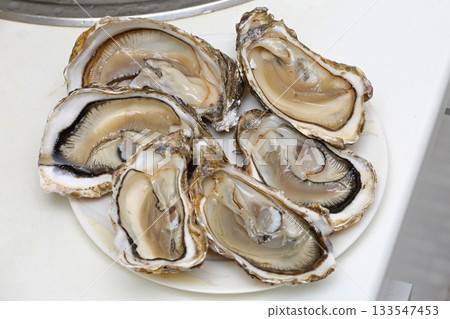 Open Oysters Plate Open Oysters Plate 133547453