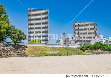 Okazaki Castle Park and streetscape in Okazaki City (Aichi Prefecture) 133547596