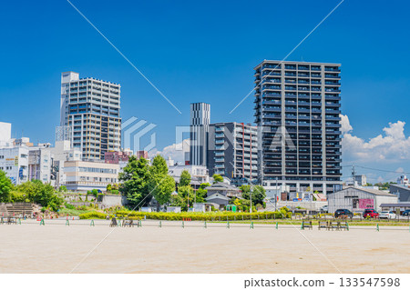 岡崎市(愛知縣)的岡崎城公園和街景 岡崎市(愛知縣)的岡崎城公園和街景 133547598