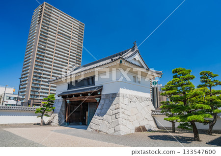 Okazaki Castle Park and streetscape in Okazaki City (Aichi Prefecture) 133547600
