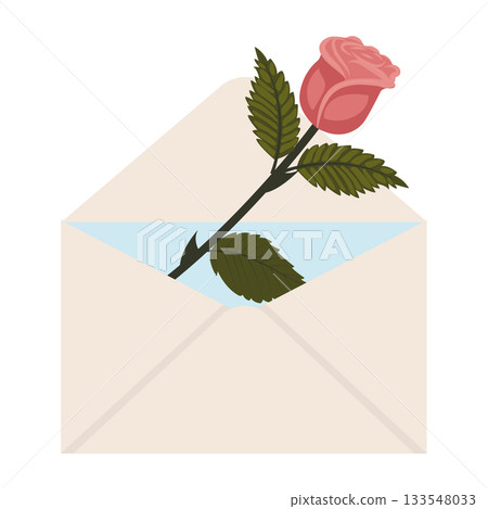 Bright pink rose. A single elegant rose in a mailing envelope. 133548033