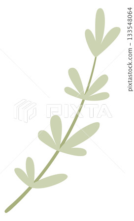A green leafy plant with a long stem A green leafy plant with a long stem 133548064