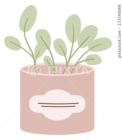 A small pink pot with green leaves sits on a white background A small pink pot with green leaves sits on a white background 133548066