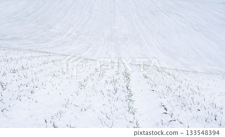 Snowy sloped field with visible crop rows in winter Snowy sloped field with visible crop rows in winter 133548394
