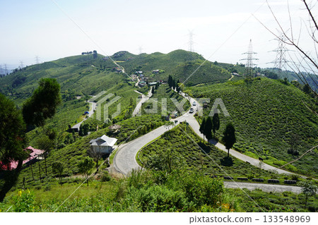 Winding Himalayan Road Through Lush Green Tea Plantations and Rolling Hills 133548969