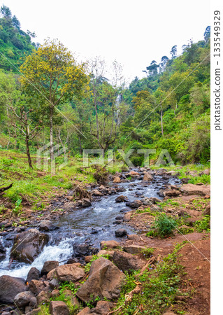 Tranquil stream winds its way through the rainforests of Mount Kilimanjaro in Tanzania 133549329