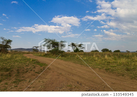 Dirt road in savannah at Serengeti national park, Tanzania 133549345
