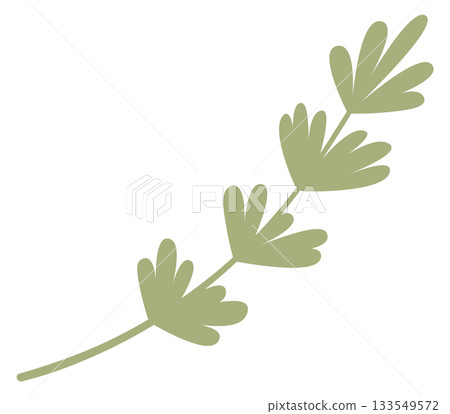A green leafy plant with four leaves A green leafy plant with four leaves 133549572