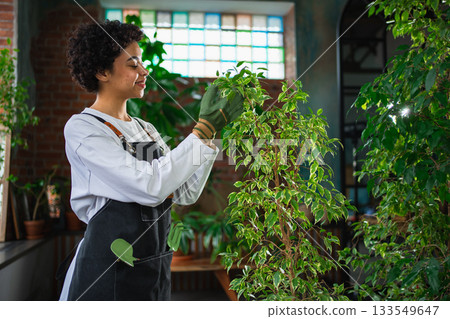 Running of own business. African woman florist wearing apron taking care of plants in botanical store. Happy small business owner working at flower shop smiling surrounded by plants Small business 133549647
