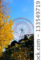 Ginkgo trees, camellias and a Ferris wheel 133549719