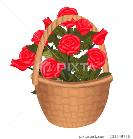 A bouquet of bright red roses in a basket tied with a scarlet bow. Vector illustration isolated on a white background. 133549756