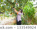 An old woman is happily gardening 133549924