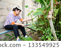 An old woman is happily gardening 133549925