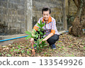An old woman is happily gardening 133549926