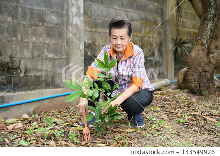 An old woman is happily gardening An old woman is happily gardening 133549926