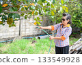 An old woman is happily gardening 133549928