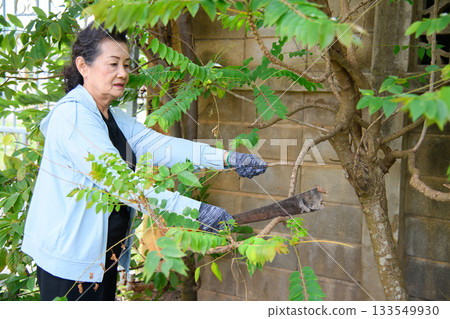 An old woman is happily gardening An old woman is happily gardening 133549930