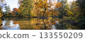 Anamorphic Lens - Autumn Landscape in the wood 133550209
