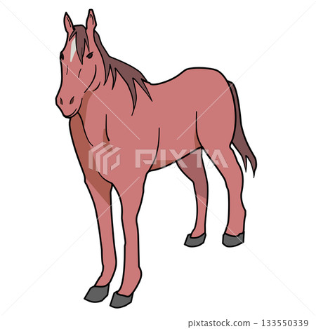 Horse illustration 133550339