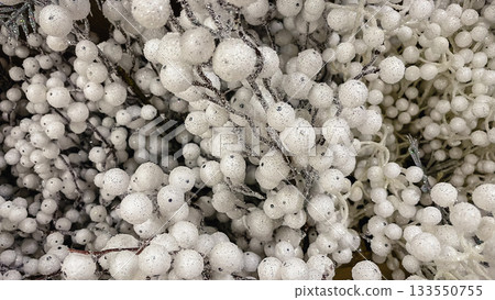 Abstract winter background of white frosted berries and clear sparkling beads on decorative branches 133550755