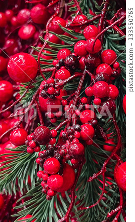 Vibrant red berries and evergreen pine branches for a festive Christmas and winter holiday background Vibrant red berries and evergreen pine branches for a festive Christmas and winter holiday background 133550765