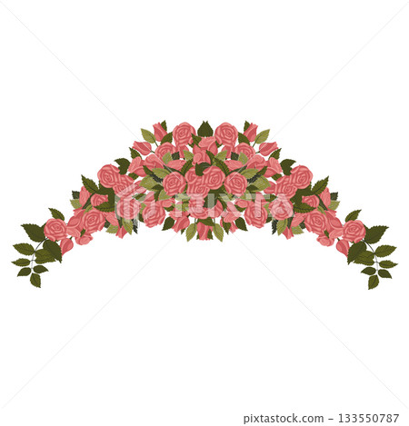 An arched arrangement of pink roses. Vector illustration isolated on a white background. An arched arrangement of pink roses. Vector illustration isolated on a white background. 133550787