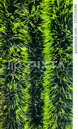 Abstract texture of bright lime green and dark striped tinsel garland background with vibrant contrast Abstract texture of bright lime green and dark striped tinsel garland background with vibrant contrast 133550846