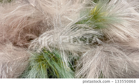 Abstract soft fluffy texture background in white silver pink green and gold with glittering shimmer effect 133550868