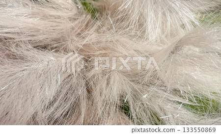 Abstract soft fluffy texture background in white silver pink green and gold with glittering shimmer effect 133550869