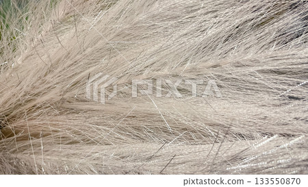 Abstract soft fluffy white and silver texture background with glittering shimmer detail close up and soft focus 133550870