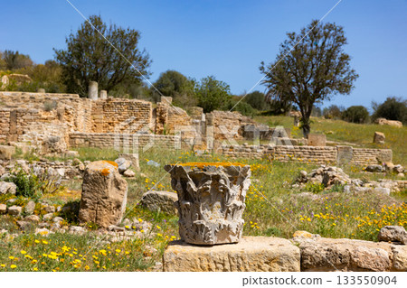 Architectural details on stone ruins of Roman villas in Carthage Architectural details on stone ruins of Roman villas in Carthage 133550904