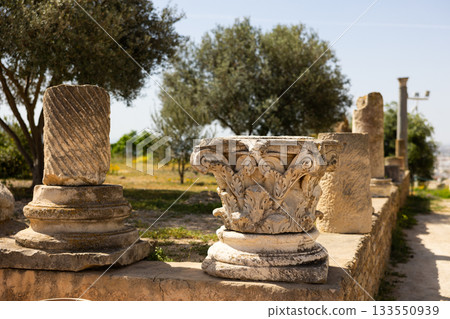Upper carved part of column is capitello , standing among remains of columns. Upper carved part of column is capitello , standing among remains of columns. 133550939