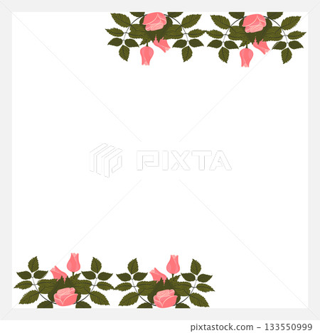 A frame decorated with light pink rose arrangements at the top and bottom edges. Vector illustration isolated on a white background. 133550999