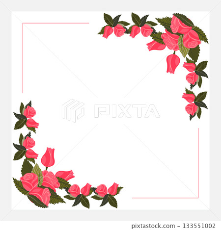 A frame decorated with arrangements of bright pink roses in the lower left and upper right corners. Vector illustration isolated on a white background. A frame decorated with arrangements of bright pink roses in the lower left and upper right corners. Vector illustration isolated on a white background. 133551002
