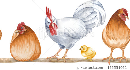 Horizontal seamless border of sessile and standing farm birds on a roost. Watercolor illustration of a poultry yard on an isolated background. Brown hens, a white rooster and chicks on a perch. Horizontal seamless border of sessile and standing farm birds on a roost. Watercolor illustration of a poultry yard on an isolated background. Brown hens, a white rooster and chicks on a perch. 133551031