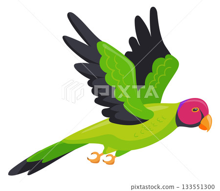 Jungle parrot flying. Green feather wings bird 133551300