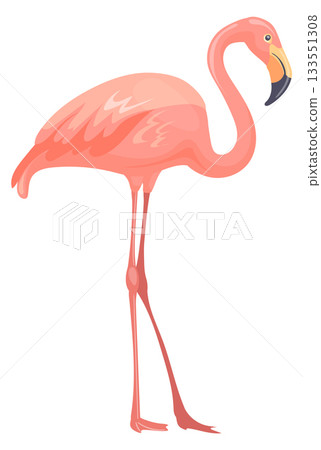 Pink flamingo. Exotic beach bird cartoon icon 133551308