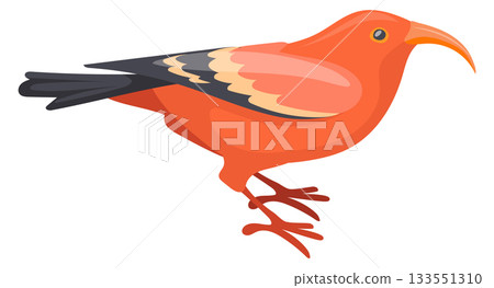 Scarlet honeycreeper cartoon icon. Tropical color bird 133551310