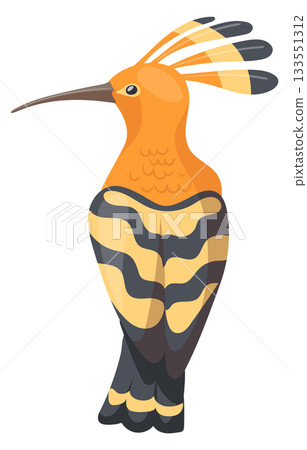 Hoopoe bird. Beautiful feather wild animal icon 133551312