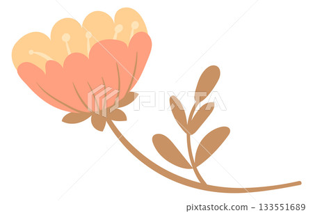 Flower element. Hand drawn decorative floral motif Flower element. Hand drawn decorative floral motif 133551689