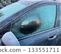 Frosted door glass and side mirror of a car 133551711